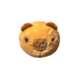 Barry capybara bounce ty