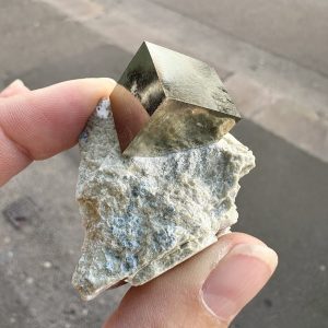 Pyrit i matrix – Navajun